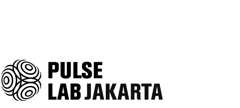 GIZ DATA LAB Partner Pulse Lab Jakarta