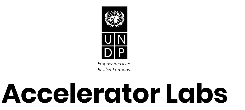 GIZ DATA LAB Partner UNDP