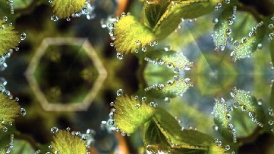 green hexagon prisma
