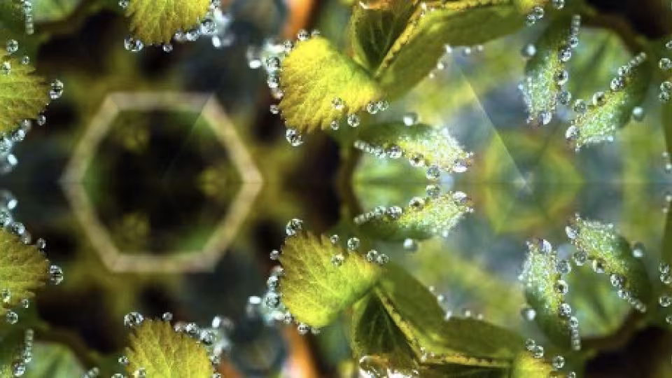 green hexagon prisma