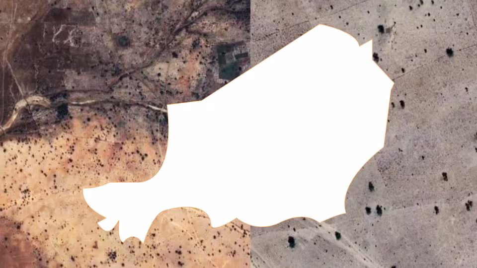 Satellite image showing Niger's outline over desert and arid landscapes.