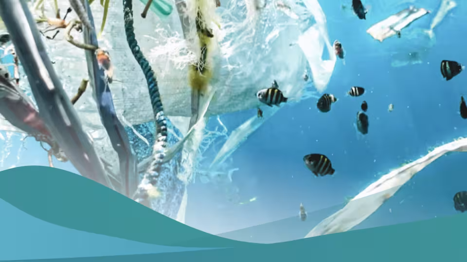 Undersea view showing small striped fish swimming through a large amount of plastic pollution, nets, and ropes, against a background of clear blue water.