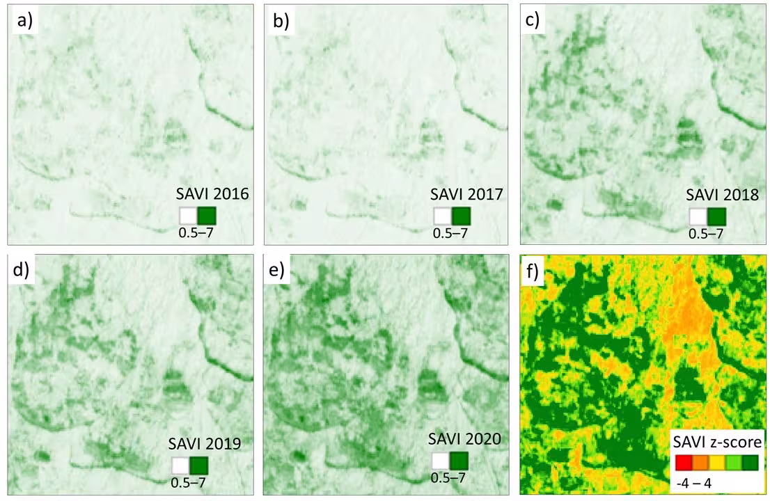 Soil-Adjusted Vegetation Index for the years 2016 to 2020