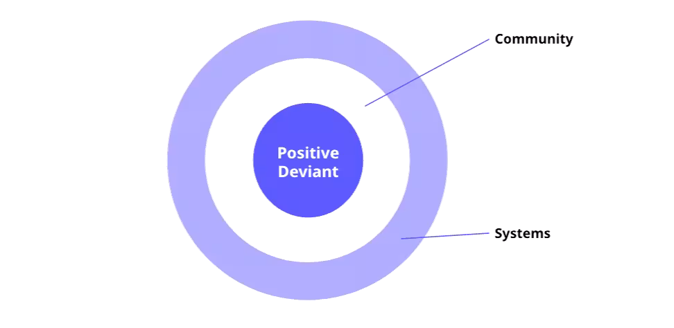 bullseye which says "positive deviant" in the middle
