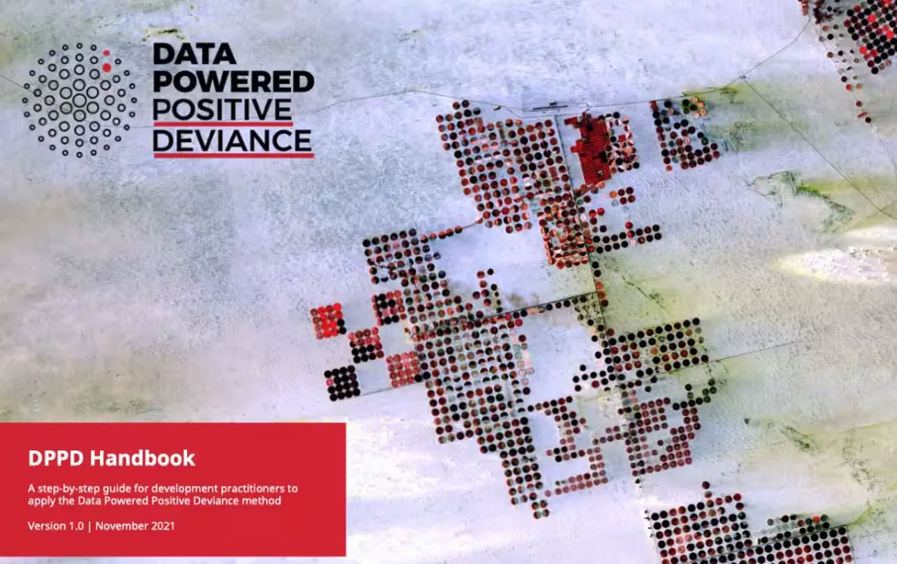 dppd handbook cover