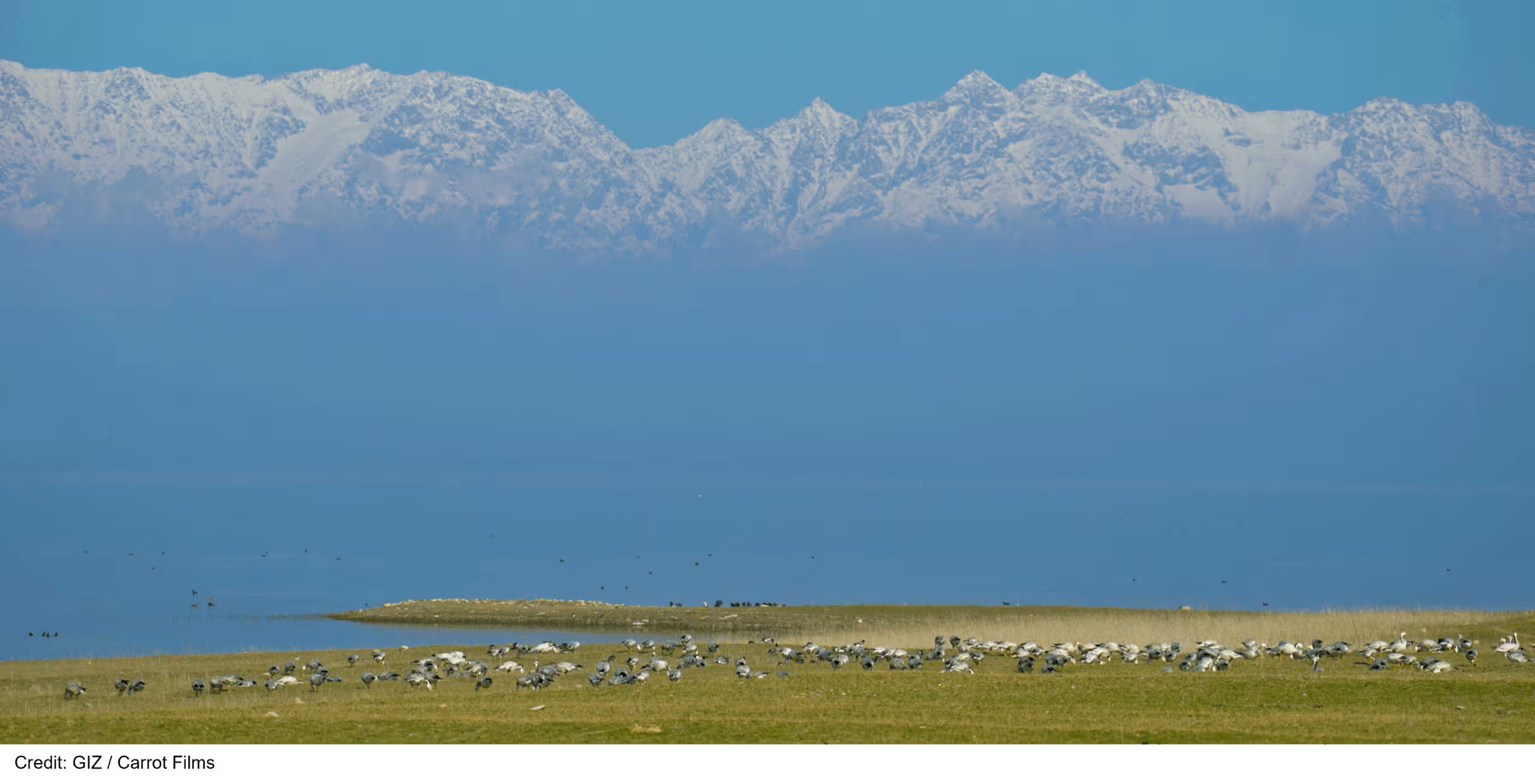 great plains with birds on them, water and mountains in the background